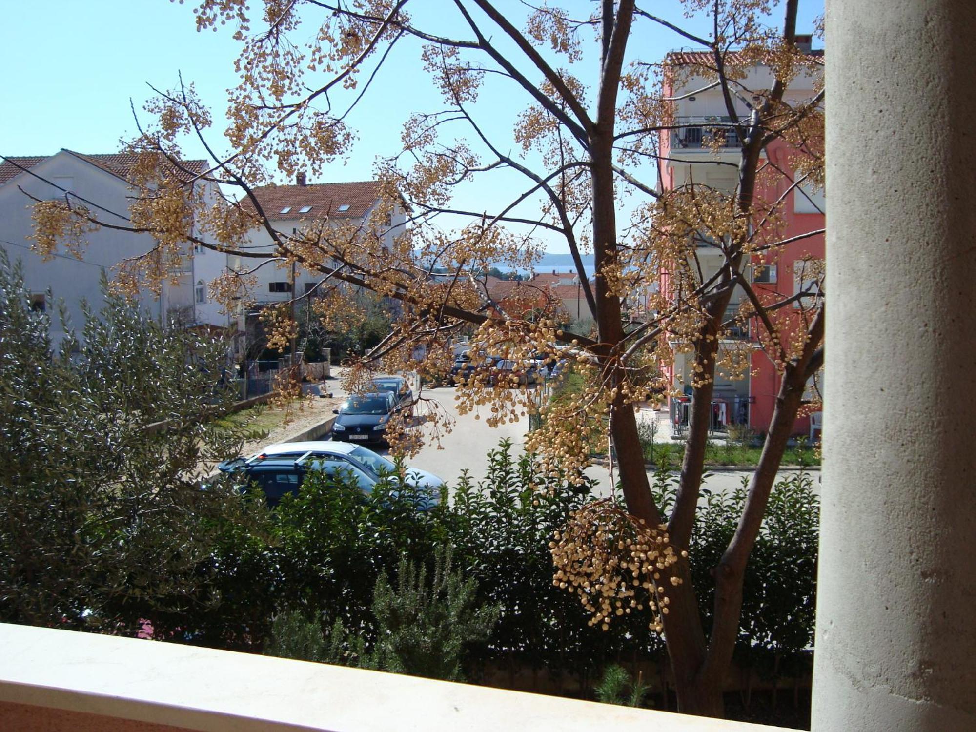 Apartments Eja Zadar Ngoại thất bức ảnh
